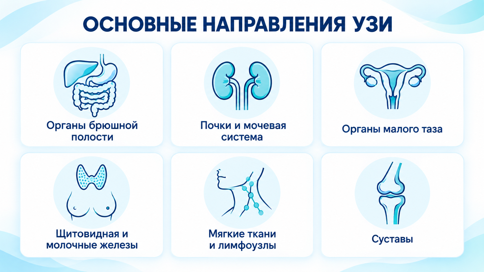 Основные направления УЗИ