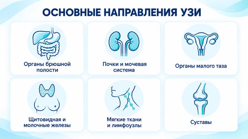 Основные направления УЗИ